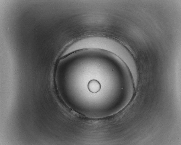 X0000114130297200910081250