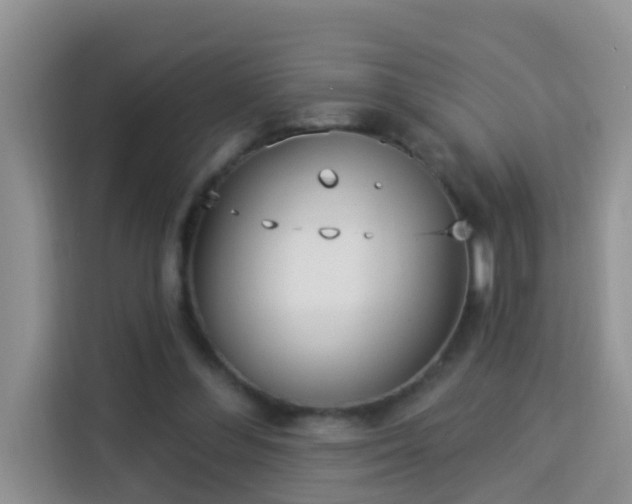 X0000114130300200910081250