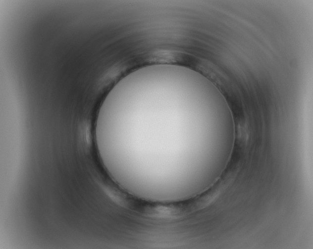 X0000114130302200910081250