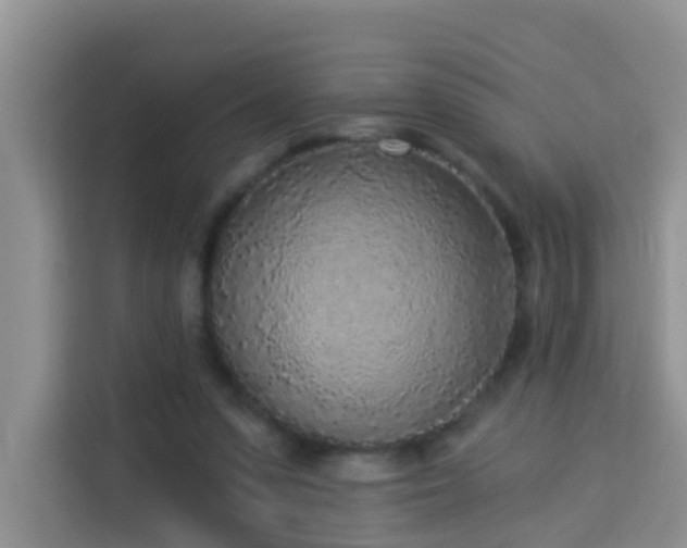 X0000114130303200910081250