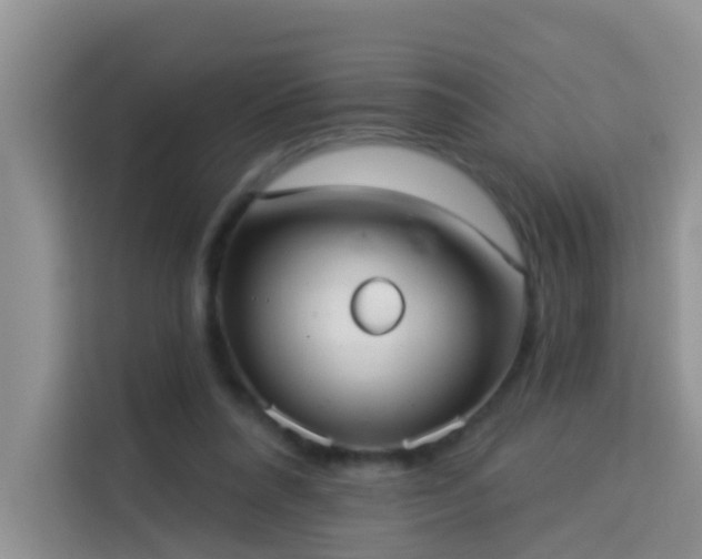 X0000114130304200910081250