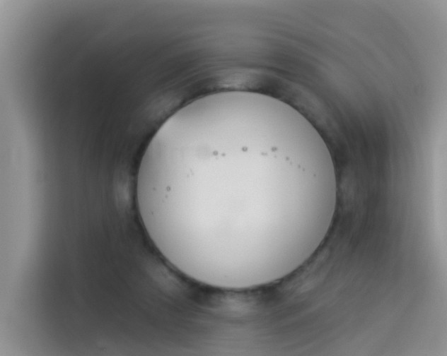 X0000114130305200910081250