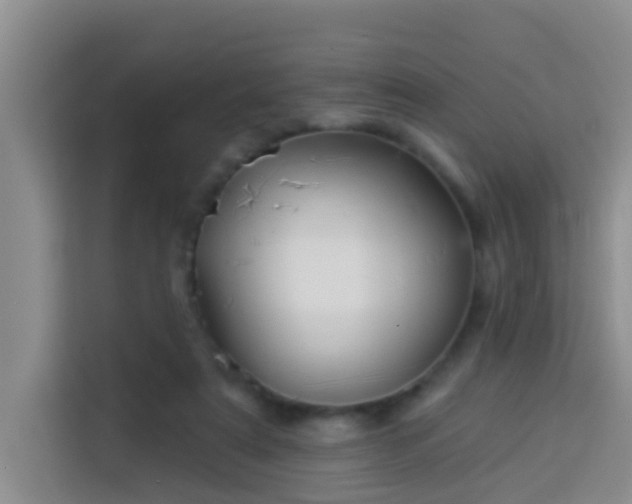 X0000114130307200910081250
