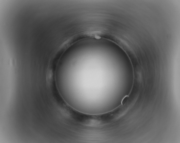 X0000114130308200910081250