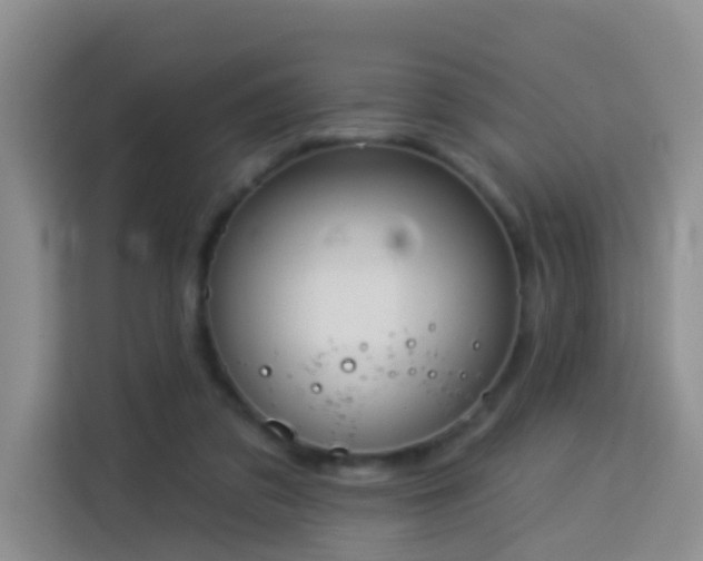 X0000114130309200910081250