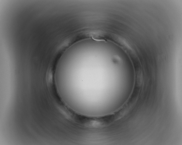 X0000114130310200910081250