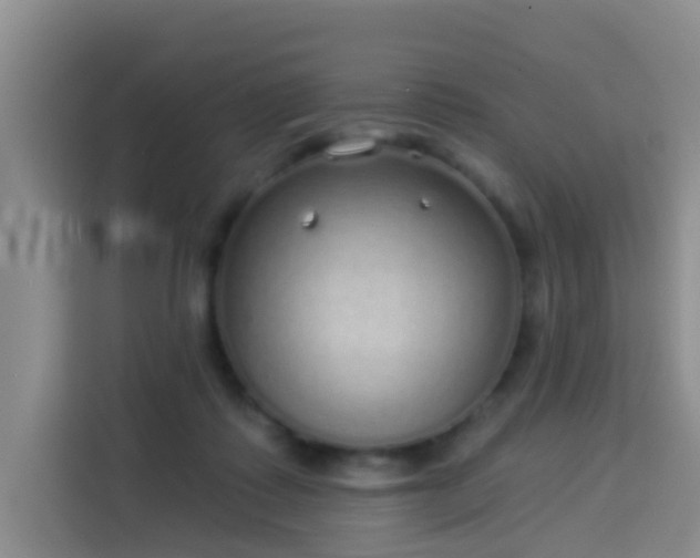 X0000114130315200910081249