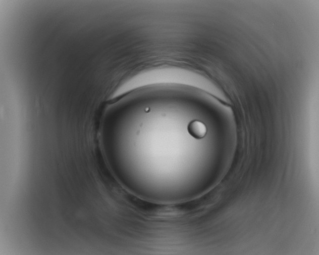 X0000114130316200910081249