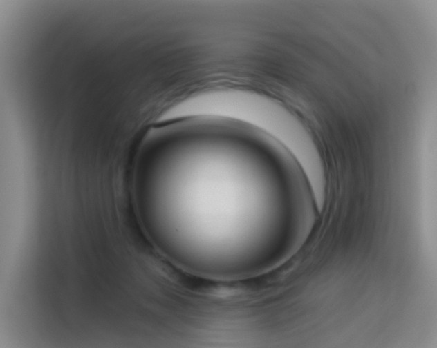 X0000114130317200910081249