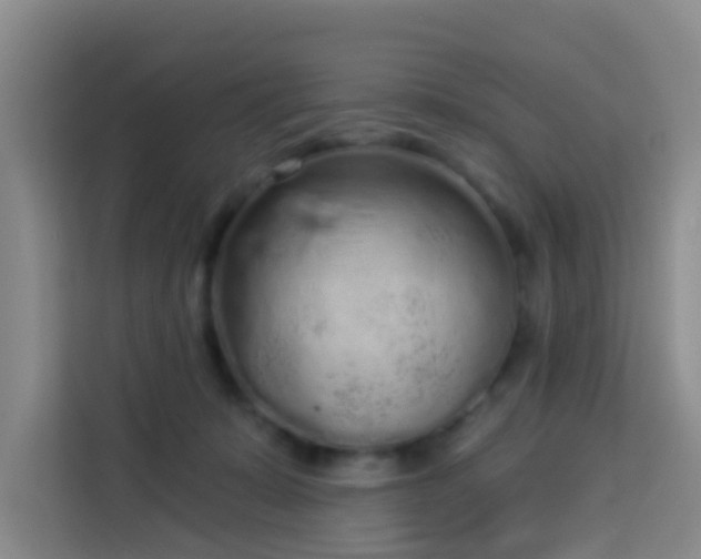 X0000114130319200910081249