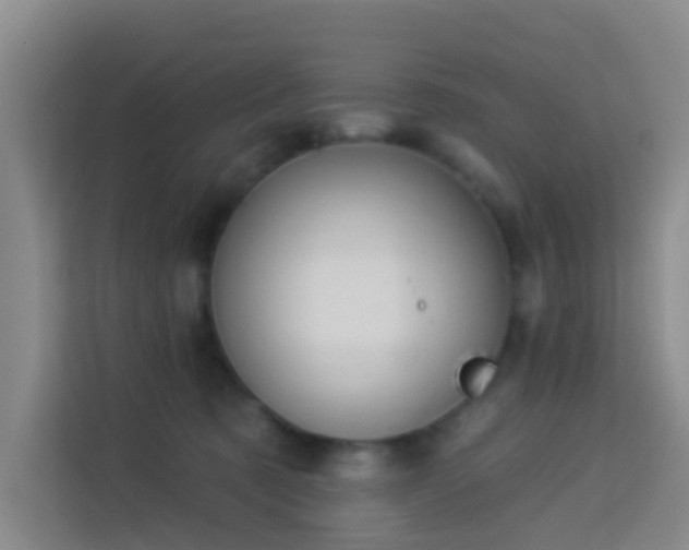 X0000114130321200910081249