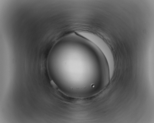 X0000114130325200910081249
