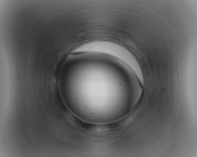 X0000114130327200910081249