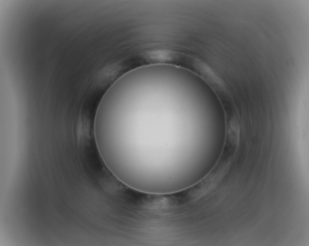 X0000114130330200910081249