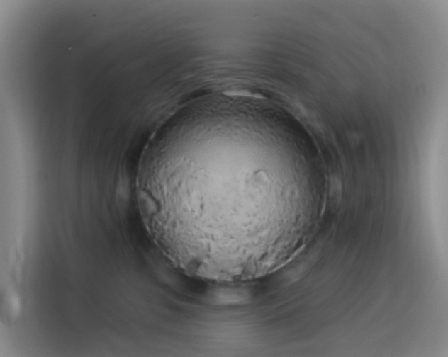 X0000114130331200910081249