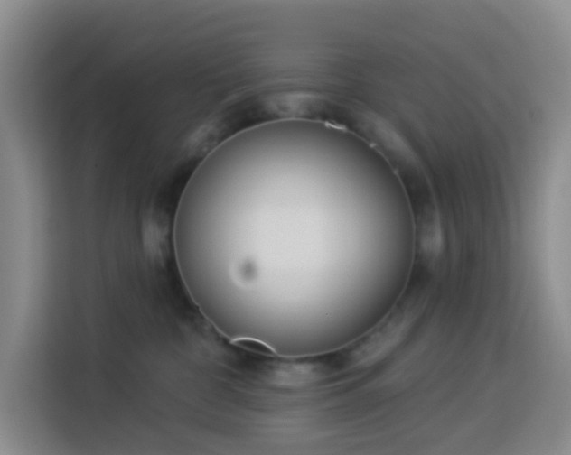 X0000114130332200910081249