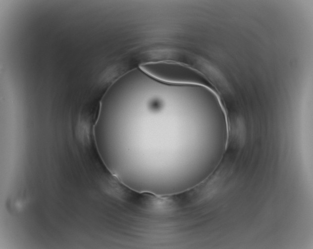 X0000114130333200910081249