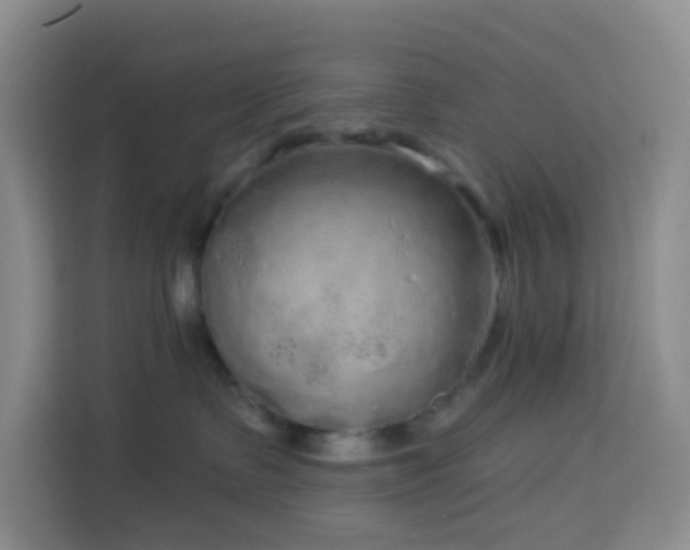 X0000114130335200910081249