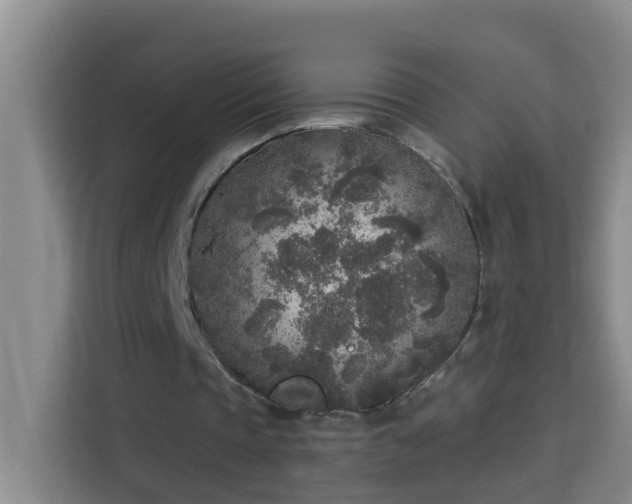X0000114130337200910081249