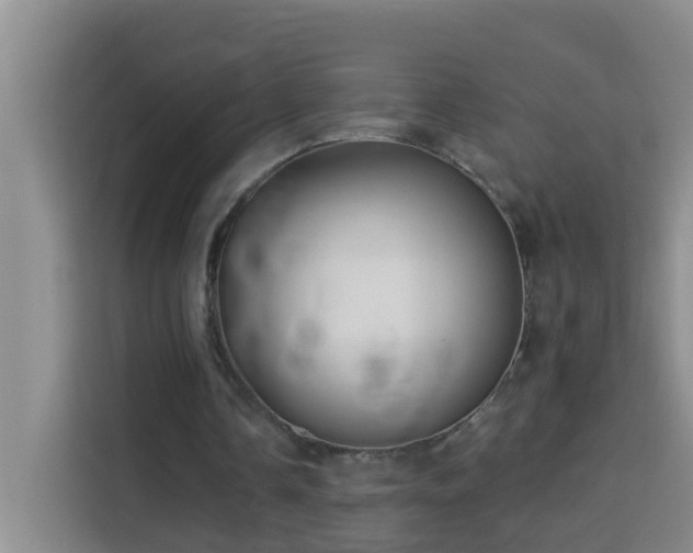 X0000114130338200910081249