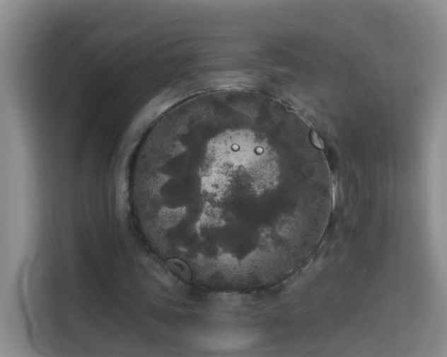 X0000114130339200910081249