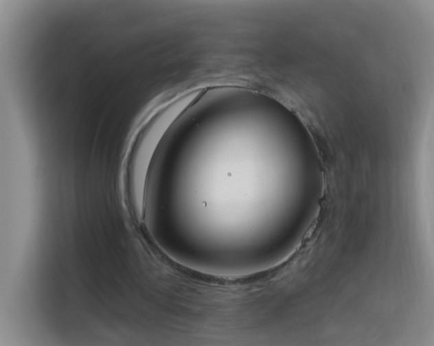 X0000114130340200910081249