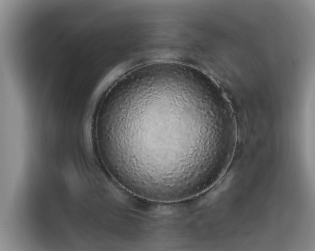 X0000114130341200910081249