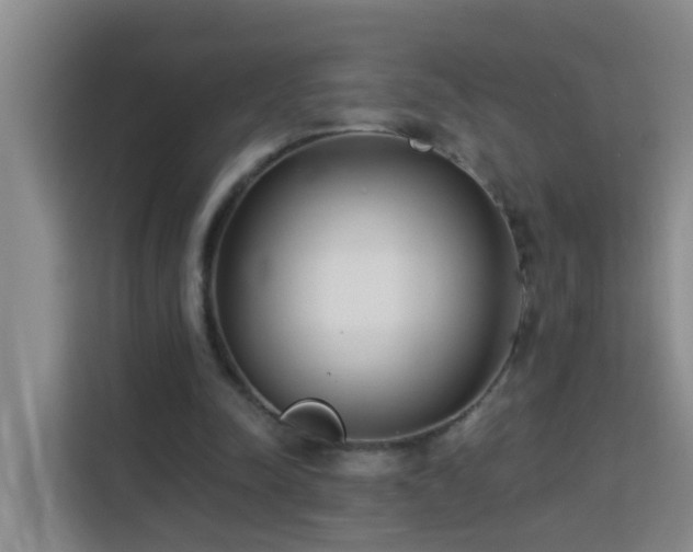 X0000114130342200910081249
