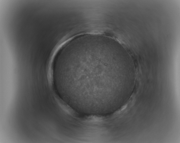 X0000114130343200910081249