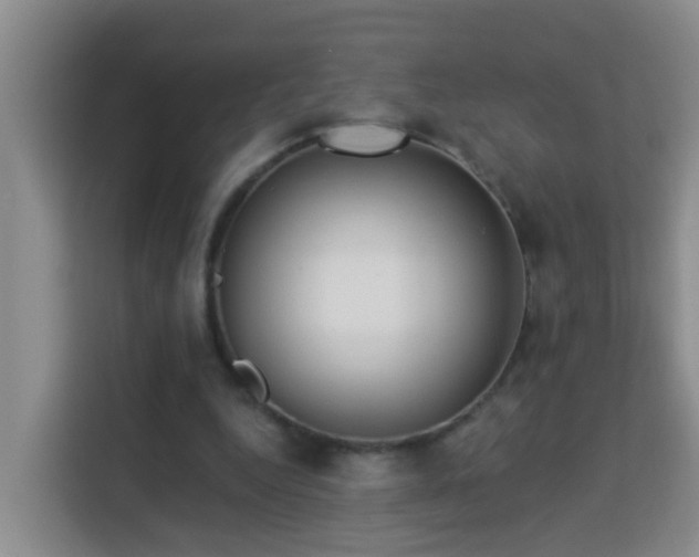 X0000114130344200910081249