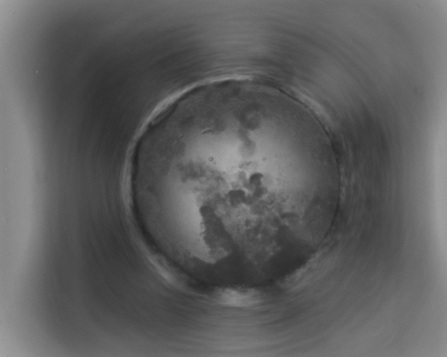 X0000114130346200910081249