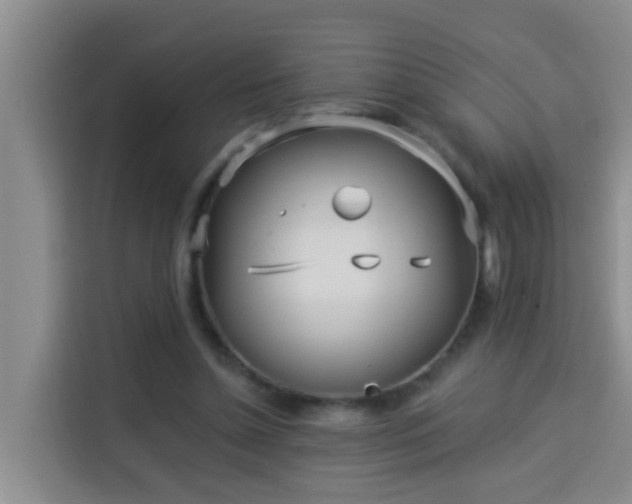 X0000114130348200910081249