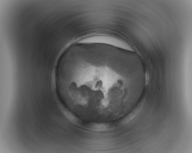 X0000114130349200910081249