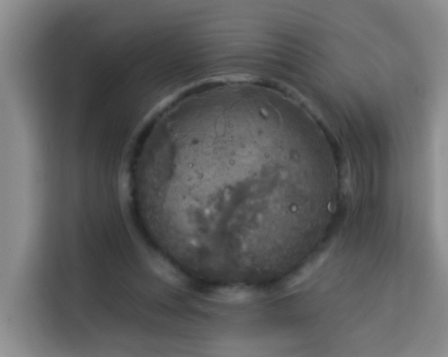 X0000114130351200910081249
