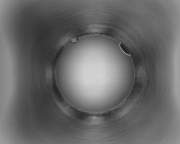 X0000114130352200910081249