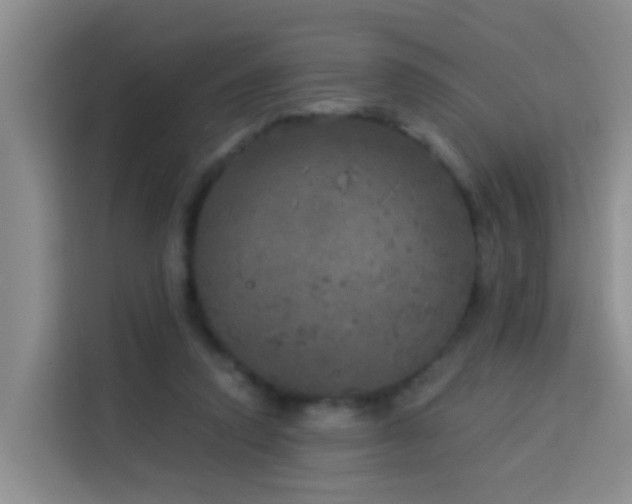 X0000114130354200910081249