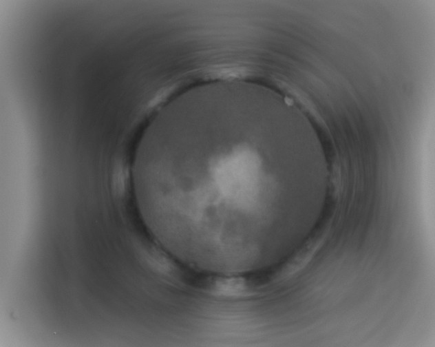 X0000114130355200910081249