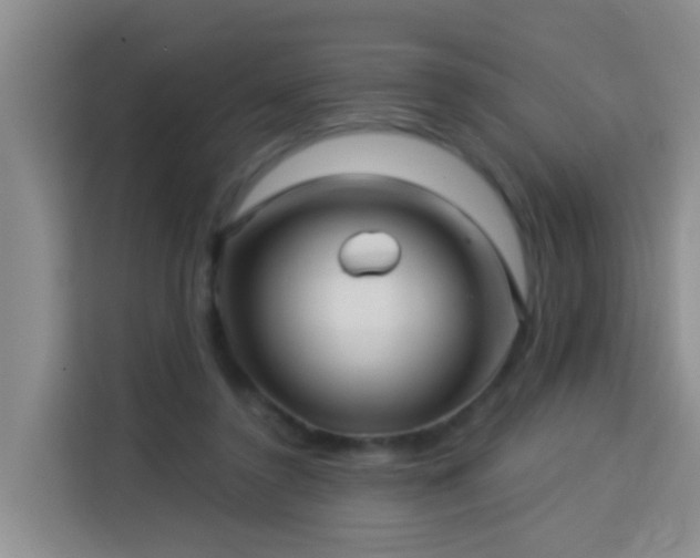 X0000114130356200910081249