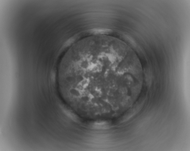 X0000114130357200910081249