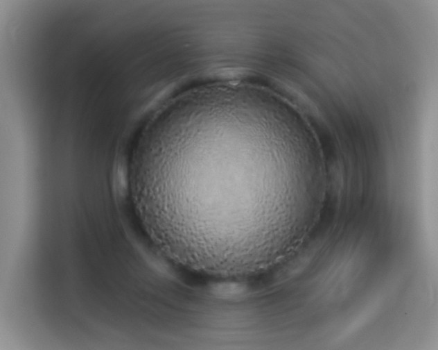 X0000114130358200910081249