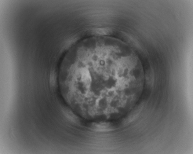 X0000114130359200910081249