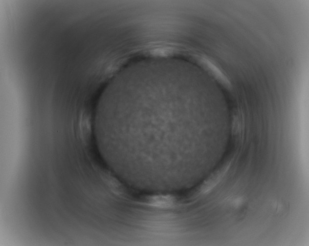 X0000114130363200910081249