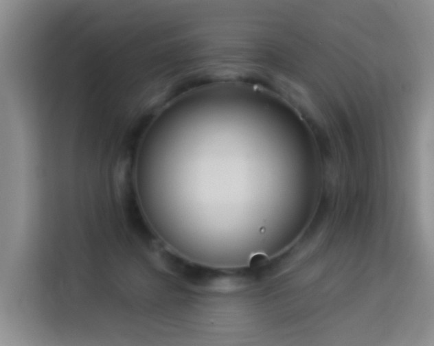 X0000114130364200910081249