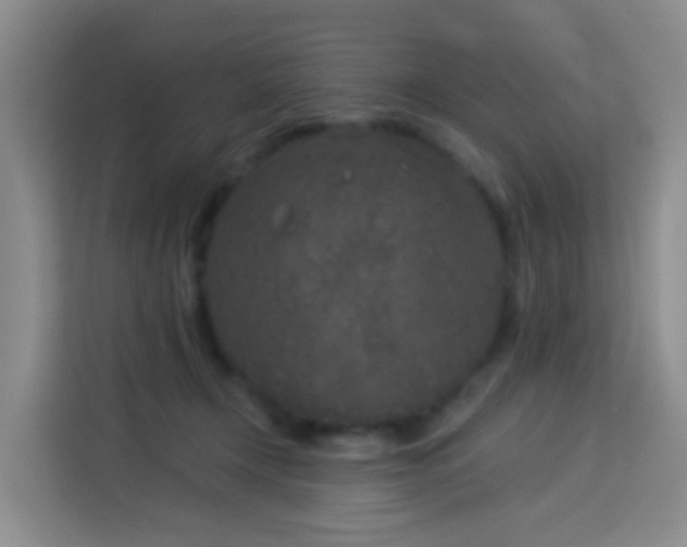 X0000114130366200910081249
