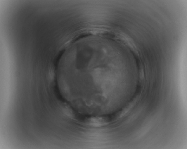 X0000114130367200910081249