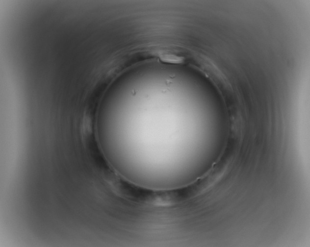 X0000114130368200910081249