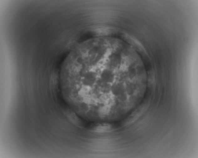 X0000114130369200910081249