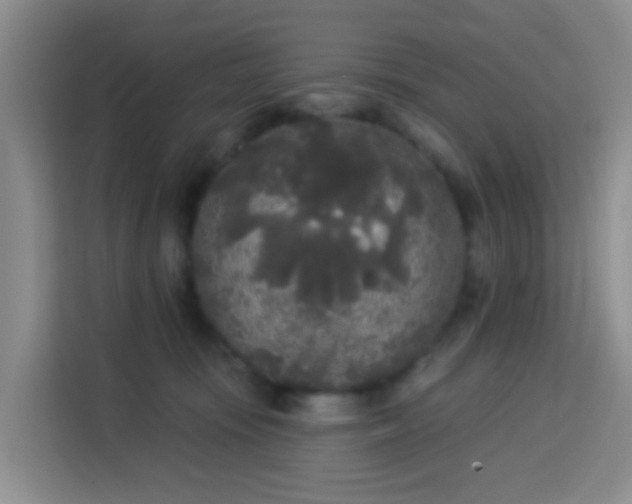X0000114130371200910081249