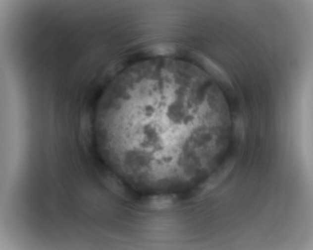 X0000114130373200910081249