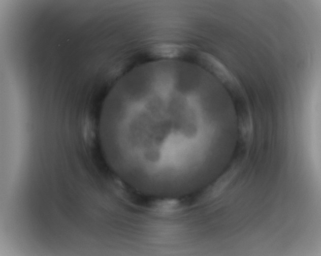X0000114130374200910081249